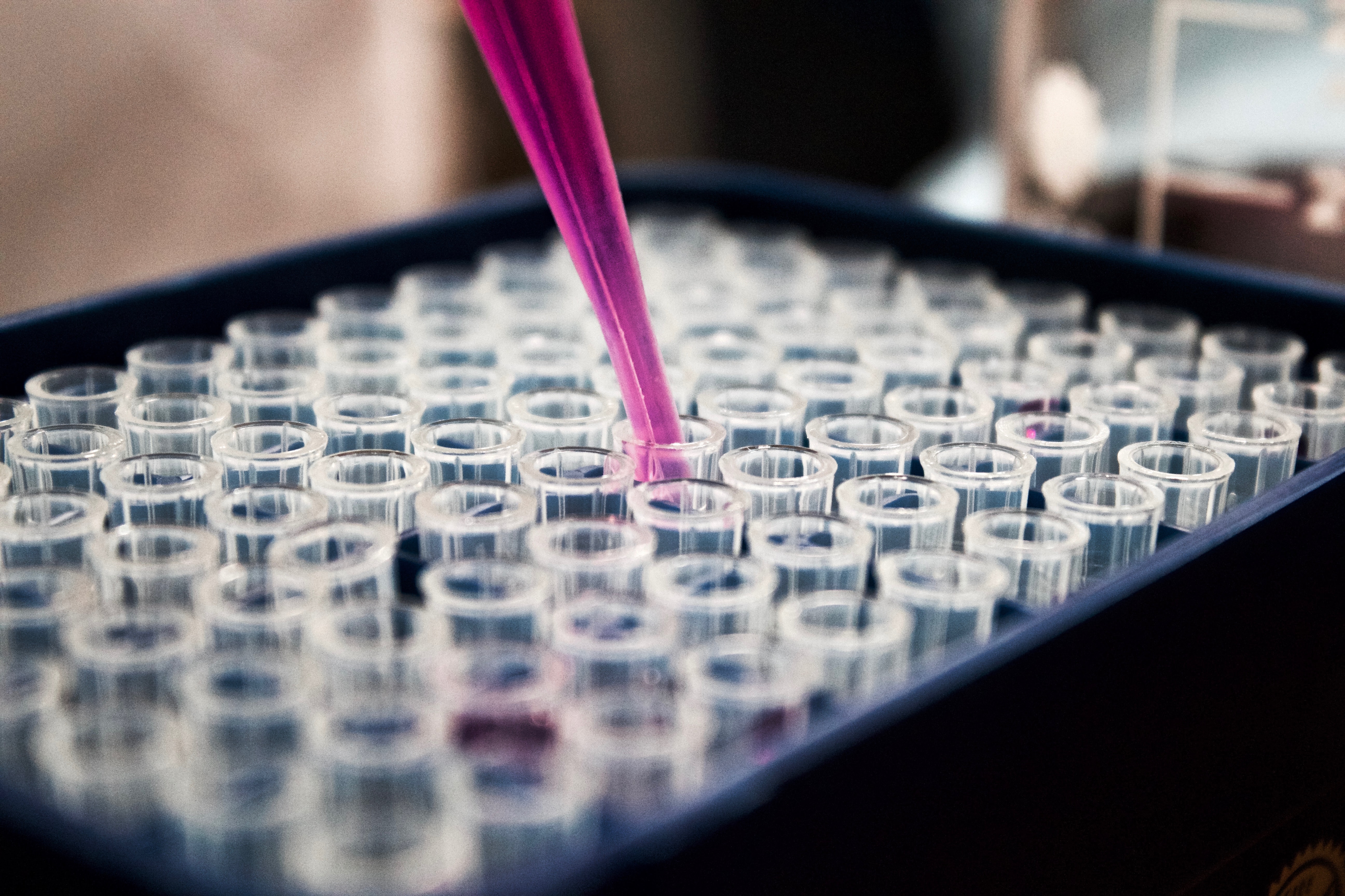 several test tubes in a lab